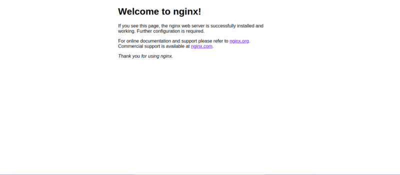 Running Nginx